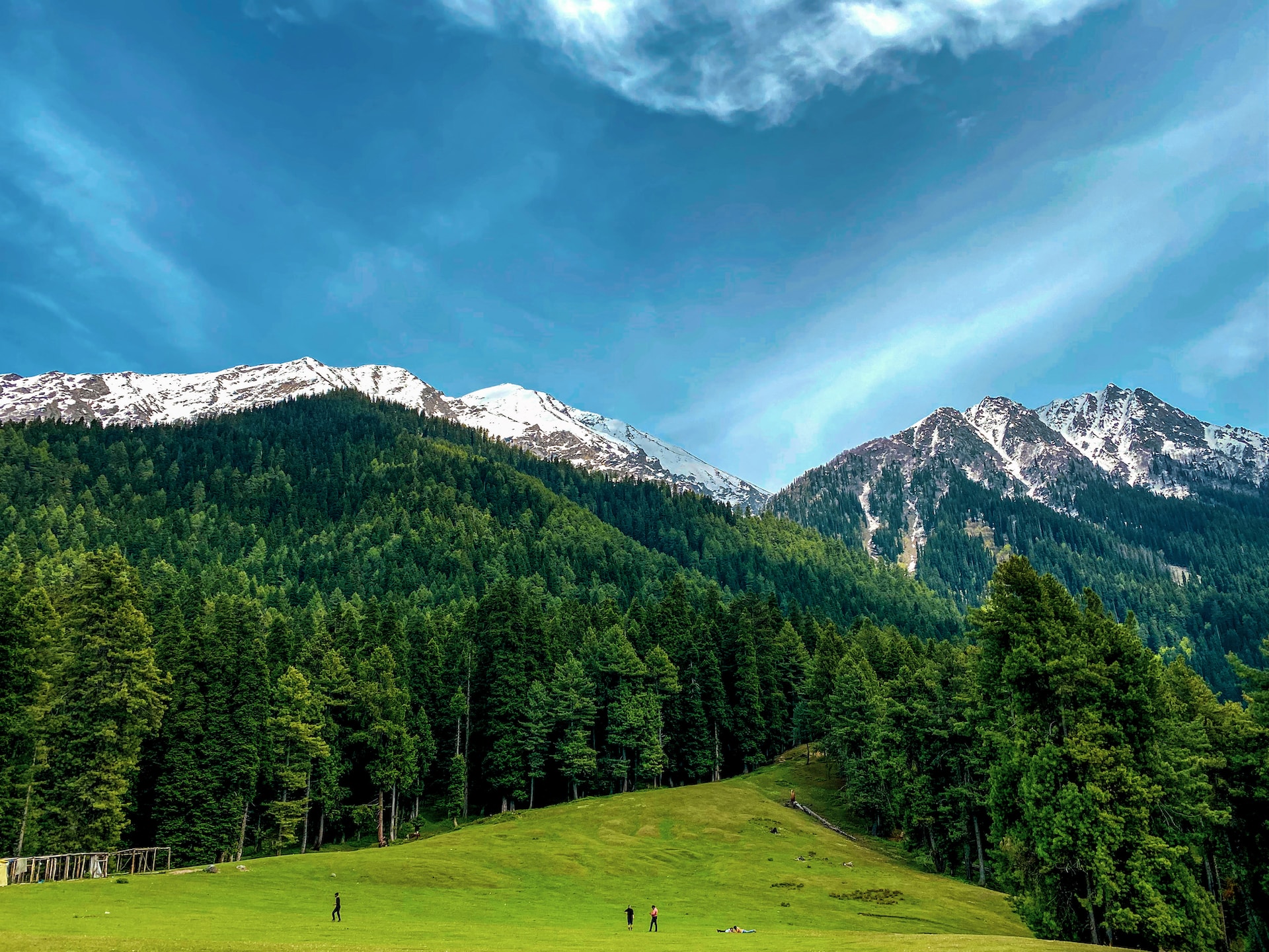 Deodar Forest and Hill View On Kashmir Tour Packages