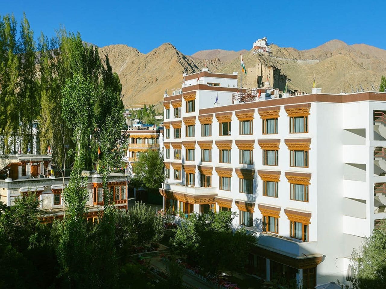 Ladakh Hotel Tsokar Residency